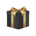 MISTERY GIFT
